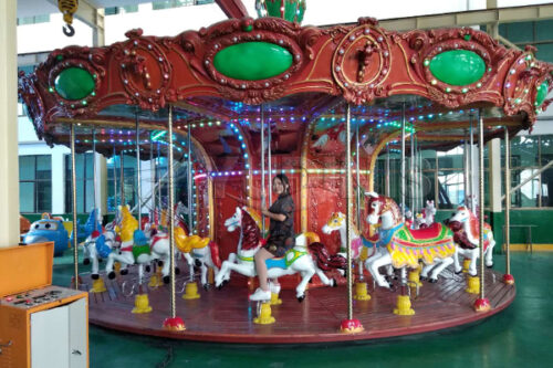 adult merry go round for sale