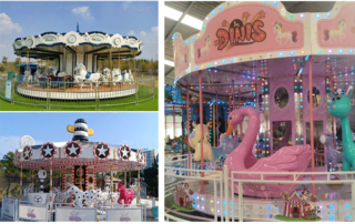 Dinis factory custom carousel rides for sale